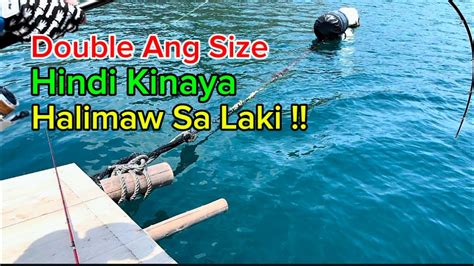 hindi kinaya ang laki